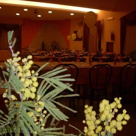 Continental Hotel 3*