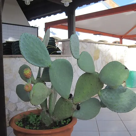 Continental Hotel 3*