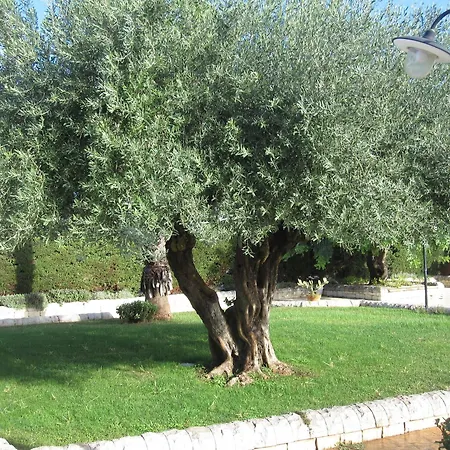 Hotel Continental 3*