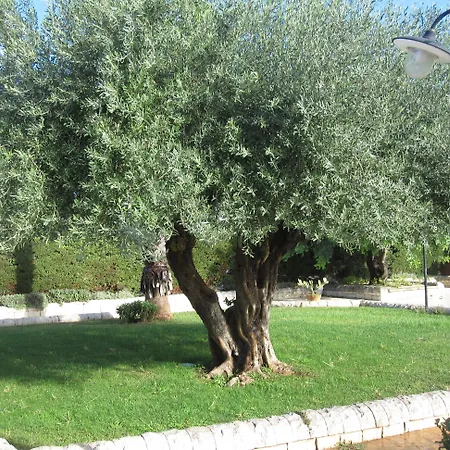 Continental 3* Pozzallo